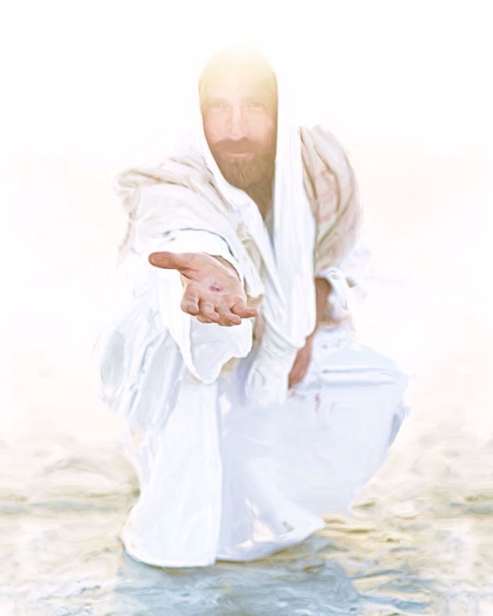 Whitney Banz tweet media