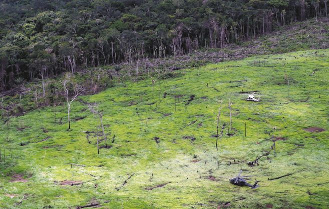 elespectador's tweet photo. #LoMásLeído en Medio Ambiente: ¿Cómo saber quién deforestó 2.000 hectáreas en Chiribiquete? https://t.co/QH5IEvAYq7 https://t.co/tZot6ruixB