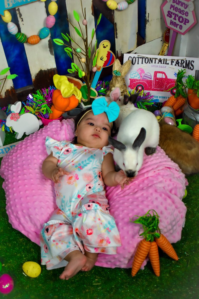 torii_perales's tweet photo. 🐣 alani’s first easter 🐣 https://t.co/NUVXpTCljl