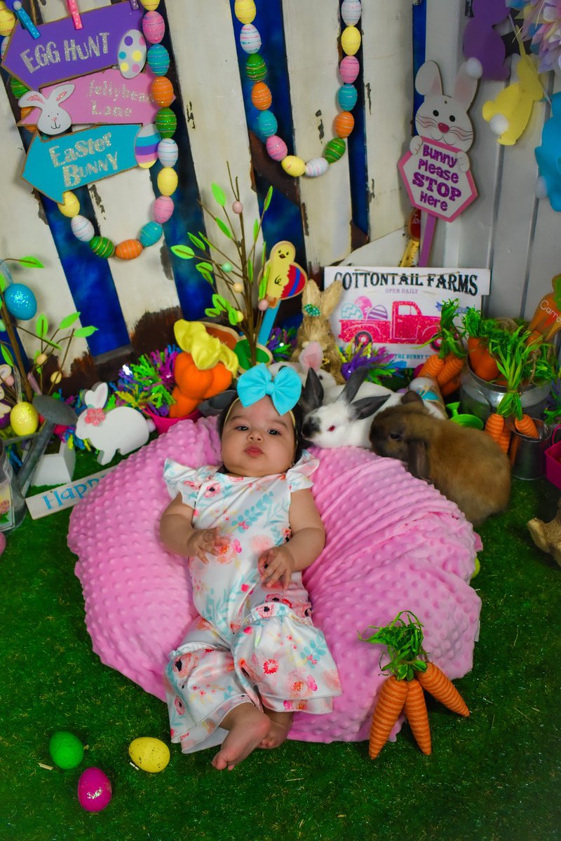 torii_perales's tweet photo. 🐣 alani’s first easter 🐣 https://t.co/NUVXpTCljl