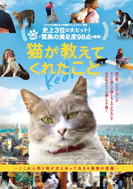 Kansai_Turkey_'s tweet photo. 🌸4月イベント🌸
4/11(日)15:30〜17:30
トルコ映画「猫が教えてくれたこと(Kedi)」上映会🐈🎬

4/18(日)15:30〜17:30
ボードゲーム「1453イスタンブルの征服(1453 İstanbul'un Fethi )」

場所:クレール新大阪(新大阪駅から徒歩5分)
参加費:無料

お申し込みはこちらから👇
https://t.co/f9y2mvr4Rk https://t.co/NGHWsJrzPY