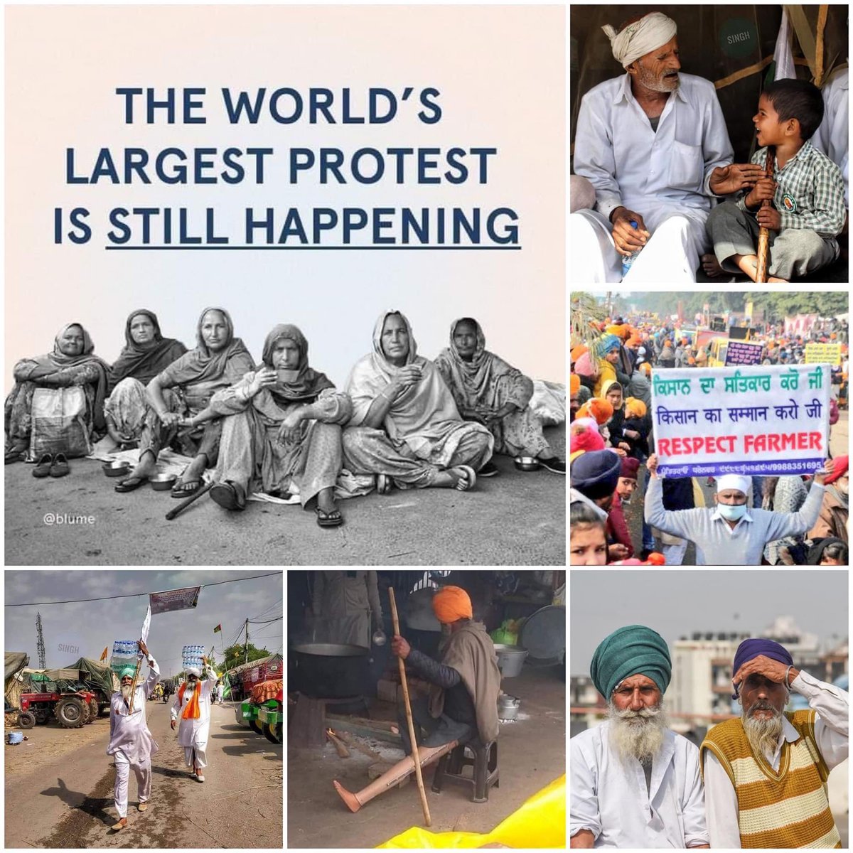 b2khosa's tweet photo. "The government which does not implement the recommendations of the Commission’s final report (submitted on October 4,2006) has no right to remain in power, it will have to vacate the throne." 
                          -Dr. MS Swaminathan

 #ShaheedJawan_ShaheedKisan https://t.co/T2hVVXiu2Z