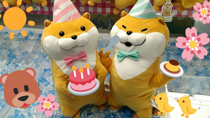 ラウンドワン池袋店 景品情報さん がハッシュタグ 可愛い嘘のカワウソ をつけたツイート一覧 1 Whotwi グラフィカルtwitter分析