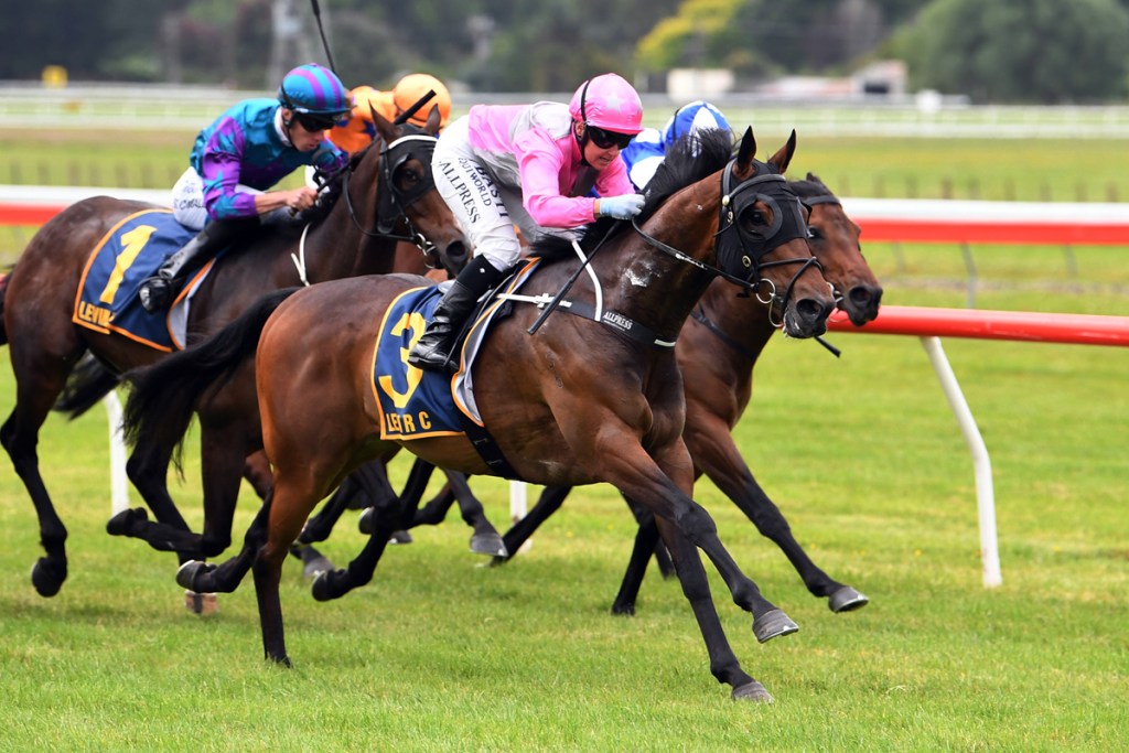 4yo Tavistock x Sursum Corda yearling purchase 'Onewonohwon' A cup horse in the making. @bennerracing 4 starts; 3 consecutive wins heads to Hong Kong @LoveRacingNZ @HKJC_Racing @anz_news You have a good horse @lok_lor Wishingyouandyourownersthebest ! @nzbusiness