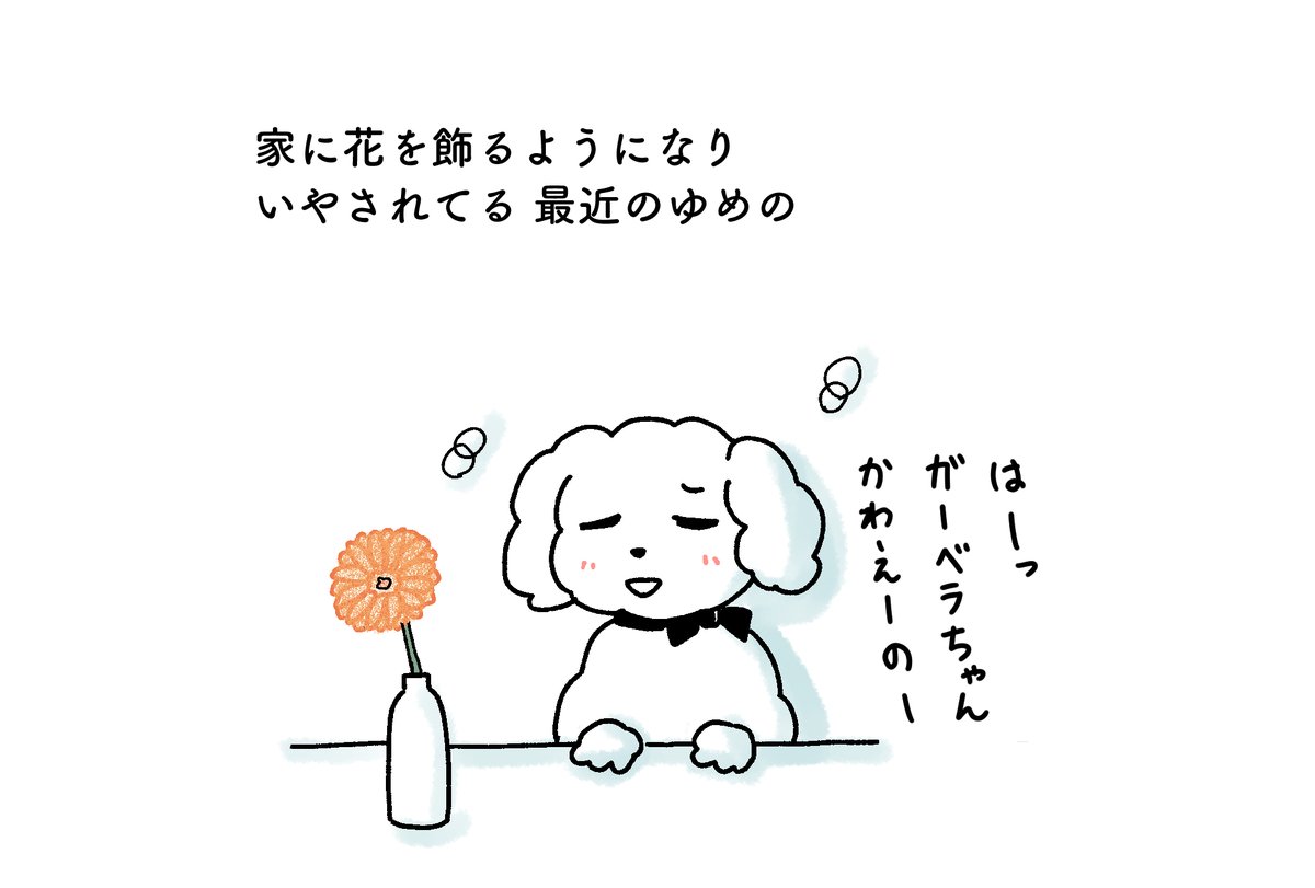 全然ツイートしないゆめのですが、生きてます。そして明日お知らせ出来ることがあります!お楽しみに〜? 