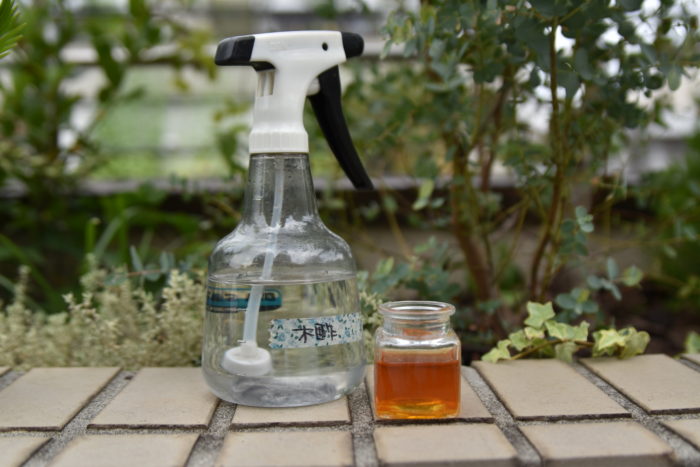 Lovegreen 観葉植物の厄介な害虫 コバエの効果的な予防方法と駆除方法 T Co Ah1husbbs2 コバエが発生して困っている方や コバエが原因で観葉植物を育てるのを諦めている方 必見です コバエの種類 発生する環境 予防方法 駆除方法 Lovegreen 観葉植物の厄介な害虫 コバエの効果的な予防方法と駆除方法 T Co Ah1husbbs2 コバエが発生して困っている方や コバエが原因で観葉植物を育てるのを諦めている方 必見です コバエの種類 発生する環境 予防方法 駆除方法