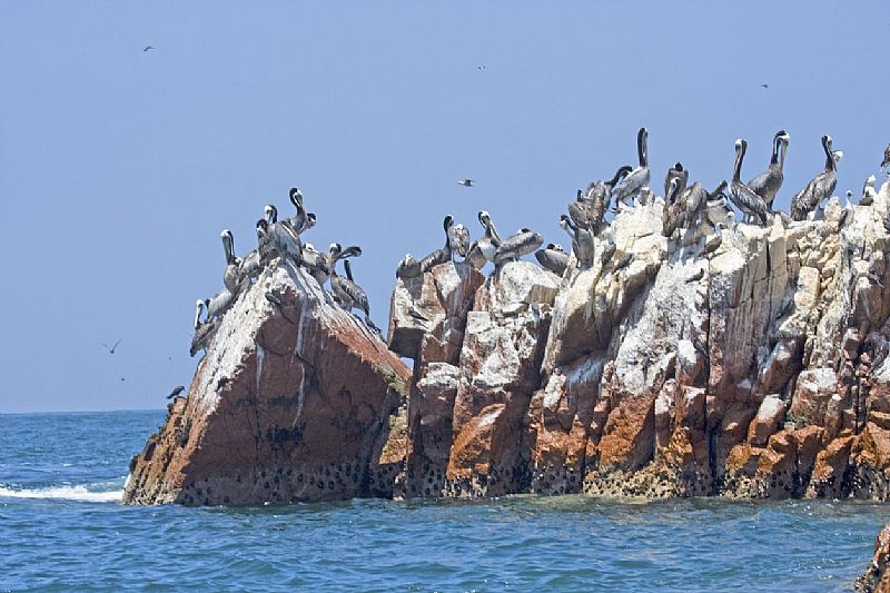 Today we're off to see the Palomino Islands (also know as the Palomino Islets), a group of 4 small islands off the coast of Peru near the city of Callao (which is the main seaport of Peru). The Islets are home to sea lions and seabirds and is now a popular tourist destination.