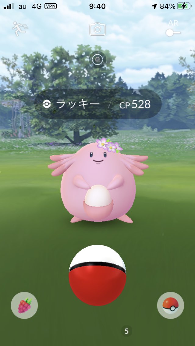 タマタマを25匹捕まえる