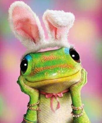 SpringBlossoms9's tweet photo. https://t.co/Z2YOoLobQT