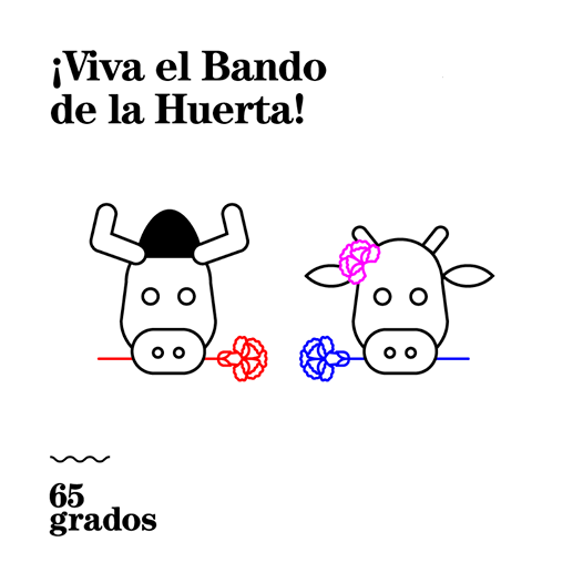 65 Grados tweet media