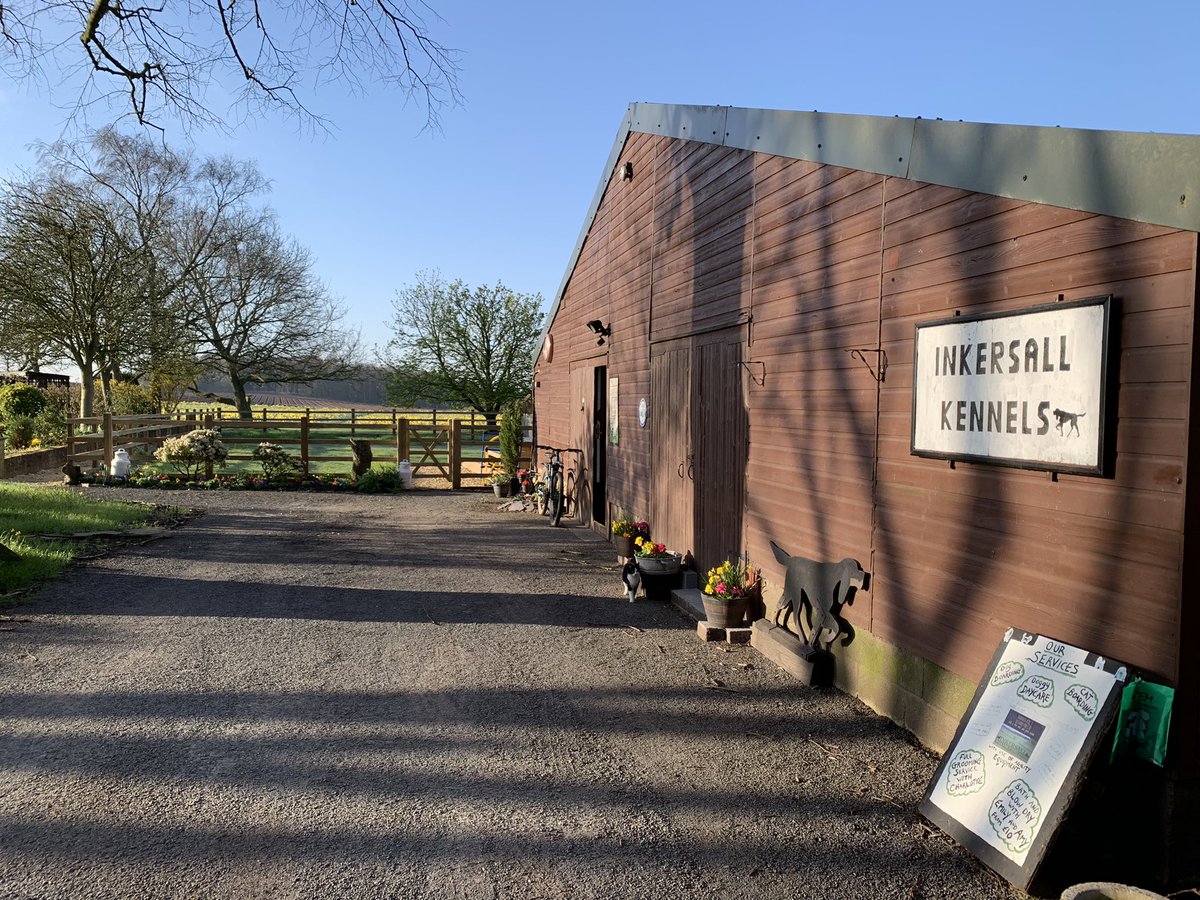 #indiedisco Indie rock'n'roll is what I want
It's in my soul, it's what I need
Indie rock'n'roll, it's time 
<a href="/absoluteradio/">Absolute Radio</a> entertaining me and the dogs!