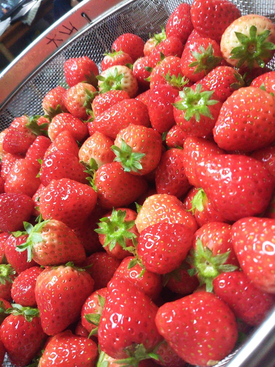いちご大量消費