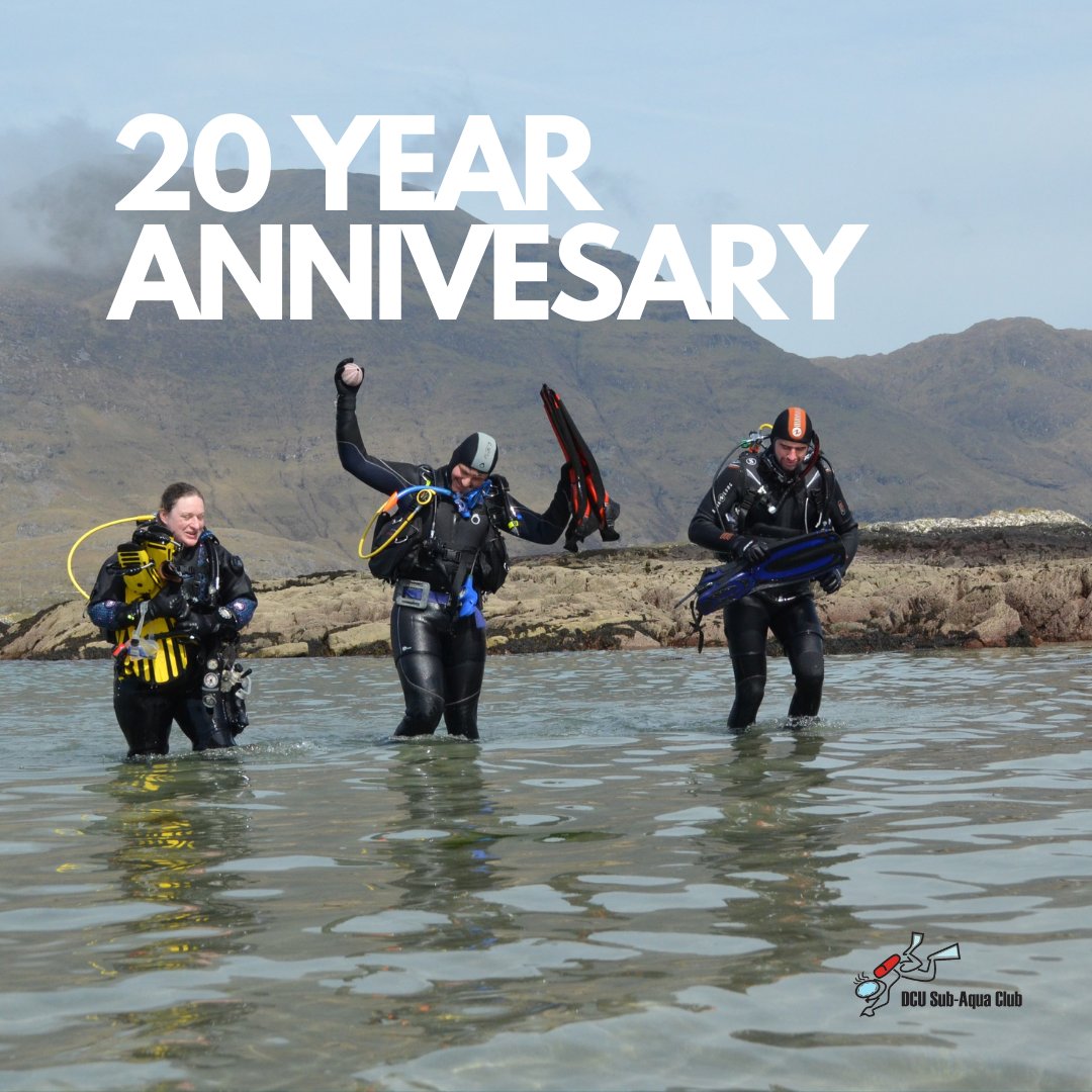DCU Sub Aqua Club tweet media