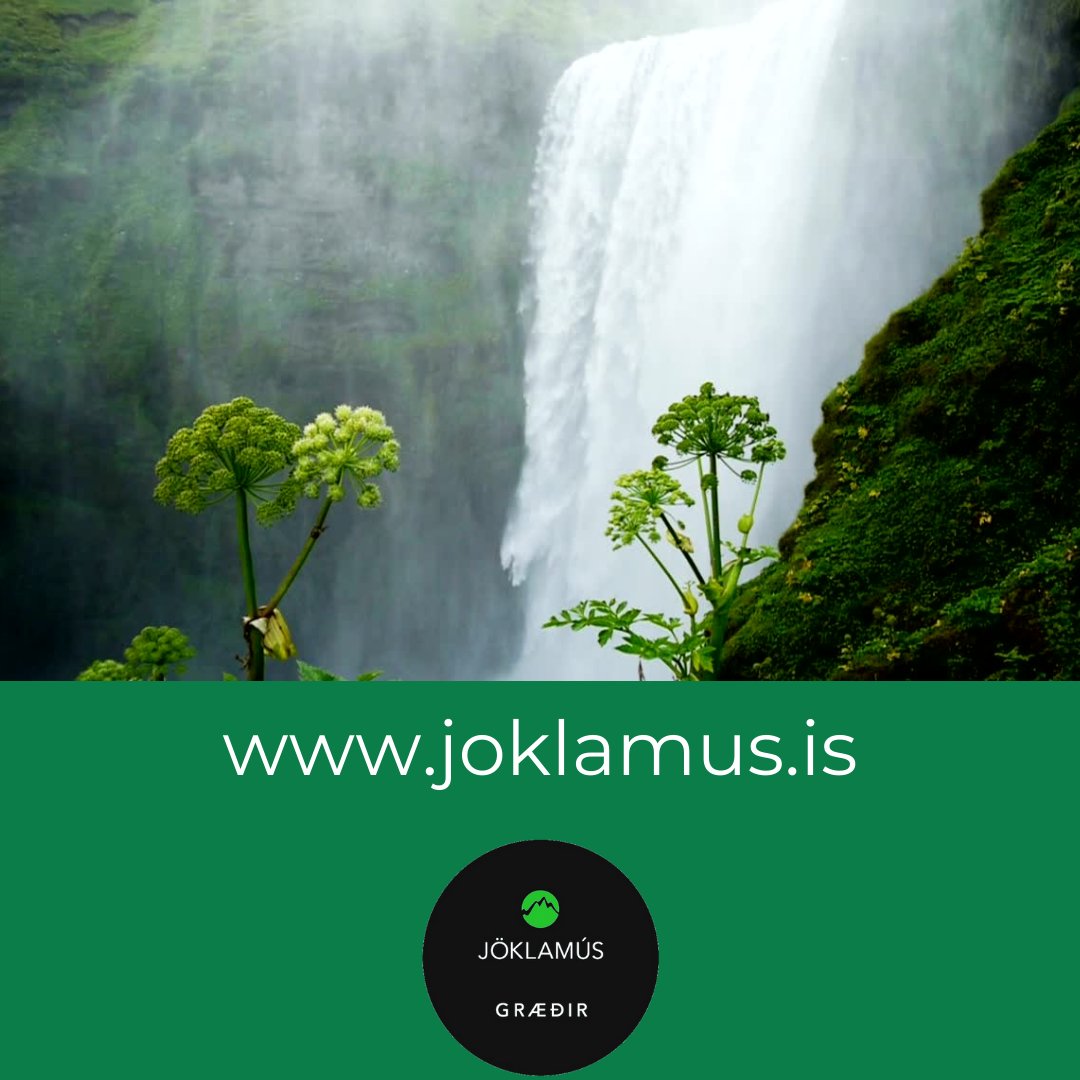 Njótum og förum vel með náttúru okkar.💚