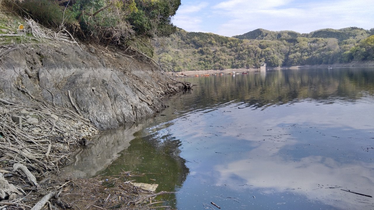 Lurecafe管理人 昨日は少しだけ津久井湖でおかっぱり かなり減水してるので広範囲を見て回る事ができた 明らかな50upを含めて5匹くらい見えバスを見つけたが 残念ながら喰わせる事はできず バス釣り 津久井湖 スピンキャスト ゼブコ バレット