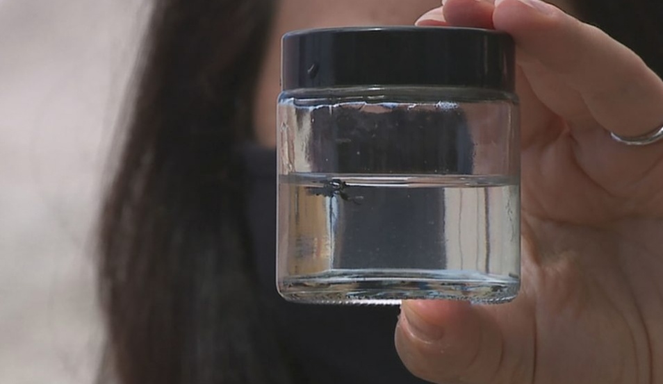 KakaakoUS's tweet photo. NEIGHBORING NEWS - What’s causing plastic shards to litter Waikiki waters? via @KHONnews READ >> https://t.co/ozJkrEIrQz #kuhiobeach #waikiki #southshore #DiamondHead #Honolulu #Oahu #Hawaii https://t.co/FOXYvtZxe8
