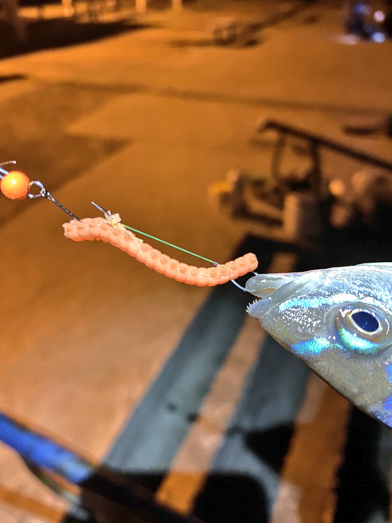 _ajimaster's tweet photo. #rockfishing #seafishing #assisthook #microjig #microgame https://t.co/HrKrVnZ0pO