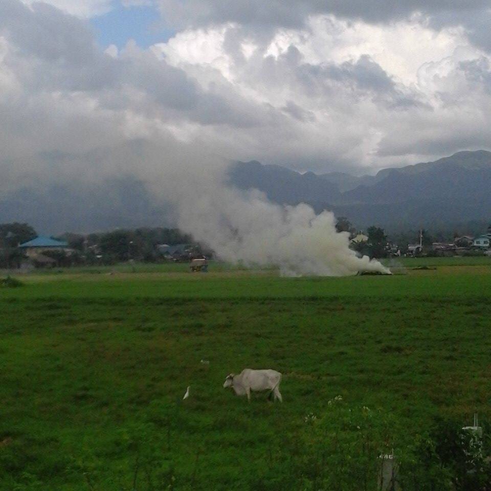 Southernlads (@southernlads) on Twitter photo 