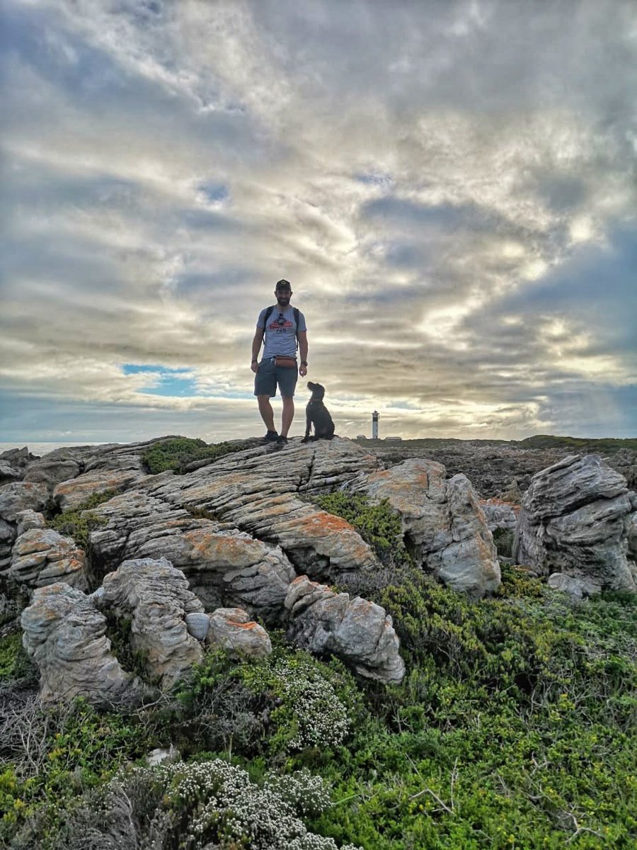 rich_stew's tweet photo. Awesome walk around Hangklip lighthouse in #pringlebay with our #ceskyfousek puppy, Nova. 
#ceskyfousekpupppy
#wirehaired
#capetown 
#huntingdog https://t.co/TSBW8N0mYz