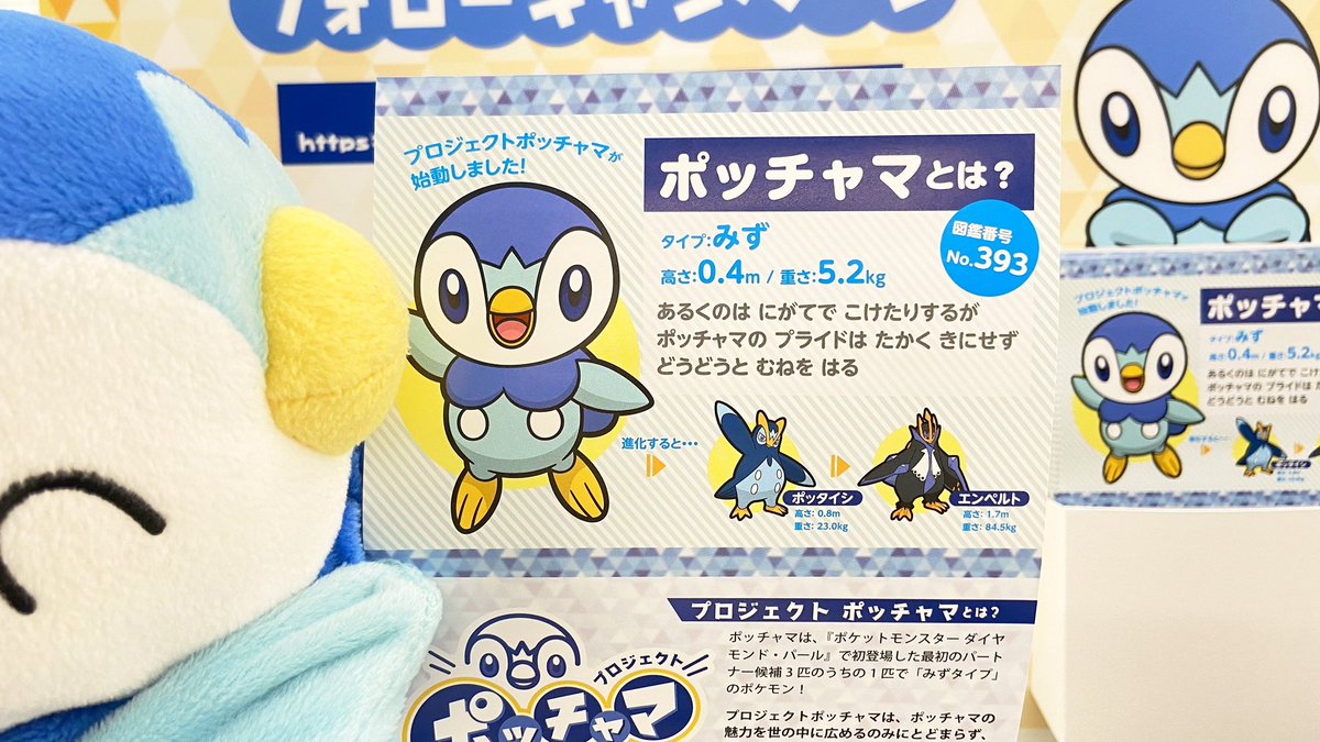 ヒノッチ きゃわわわ ポッチャマ大量発生 がんばれポッチャマ 懐かしポーズの子でも瞳の表現が新しくなったのでとても新鮮 プロジェクトポッチャマ ポケモンセンター