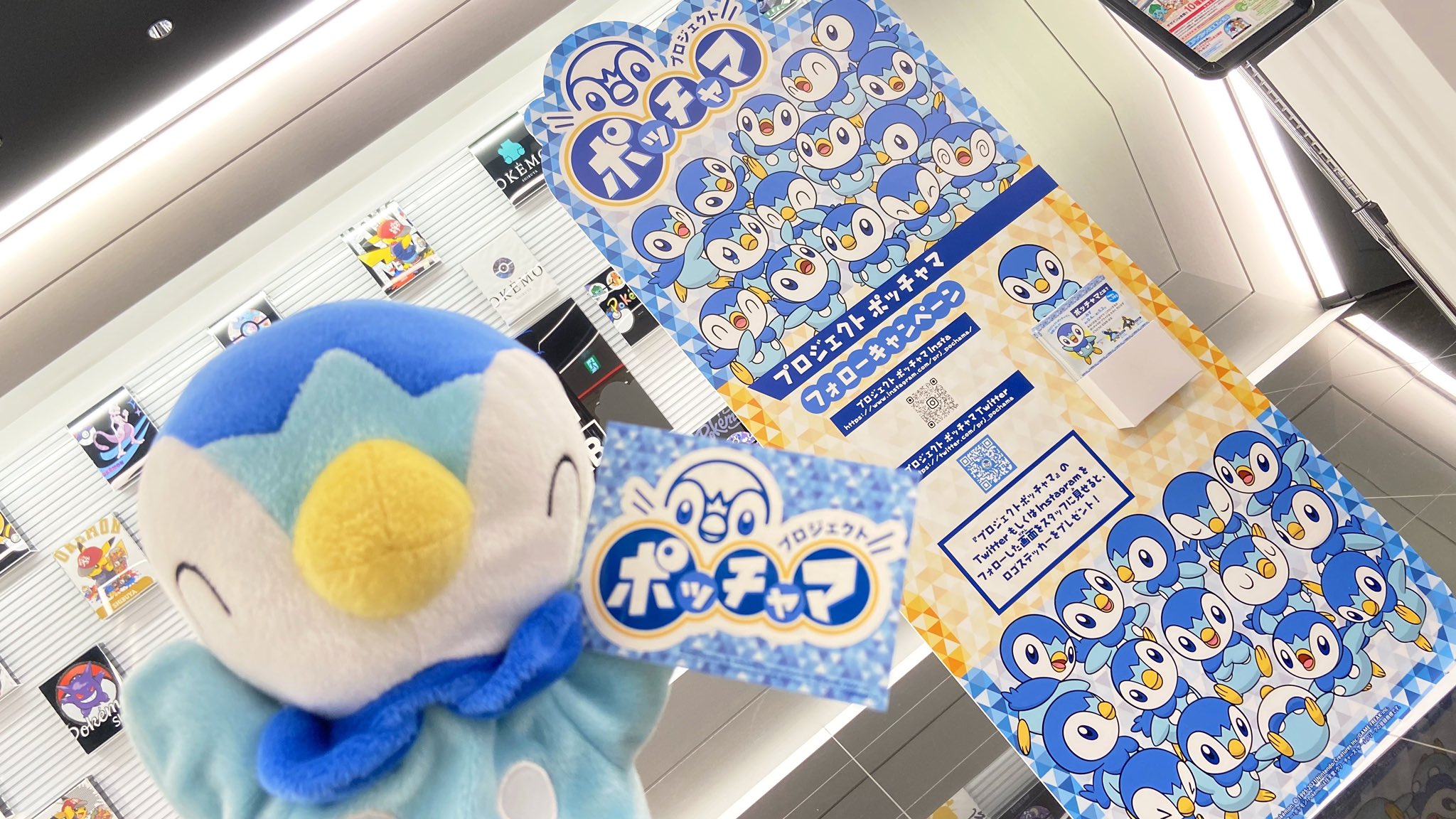 ポッチャマ PSA10鑑定済〕ポッチャマ【-】{002/009}