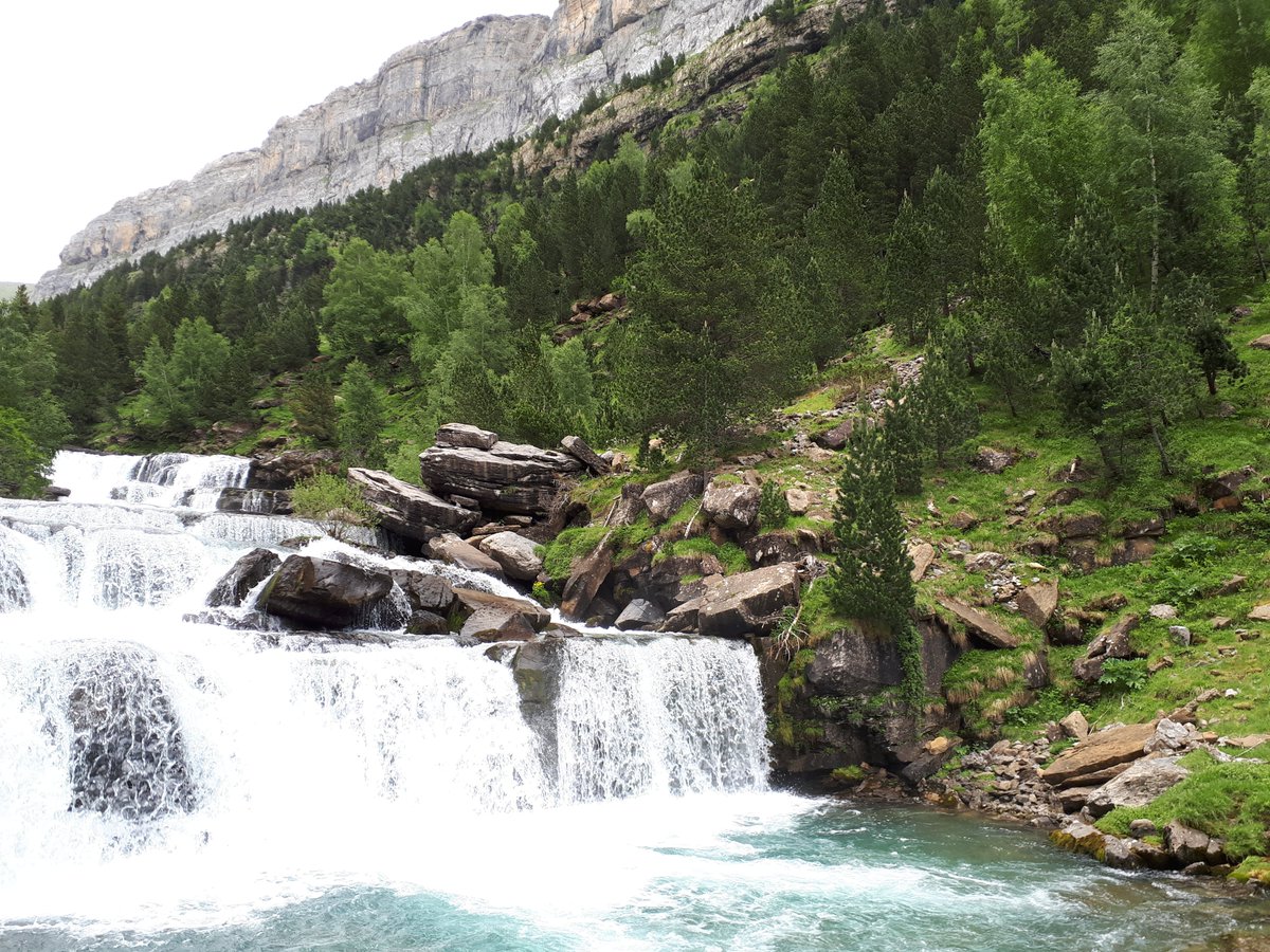 Marcos Sanchez tweet media