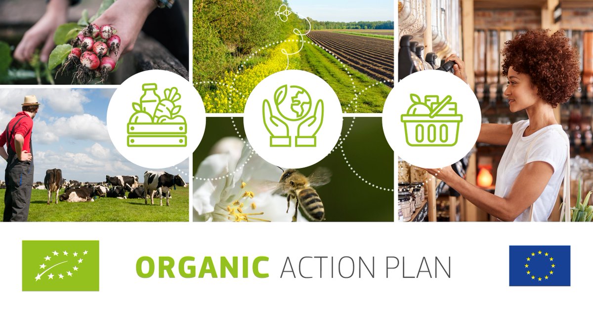 Organic farming increases biodiversity, benefits pollinators and promotes animal welfare🐣

The new #OrganicEU Action Plan will bring more organic food in schools and public canteens and plans to make 25% of 🇪🇺EU farmland organic by 2030.

➡️europa.eu/!rR98mT #EUGreenDeal