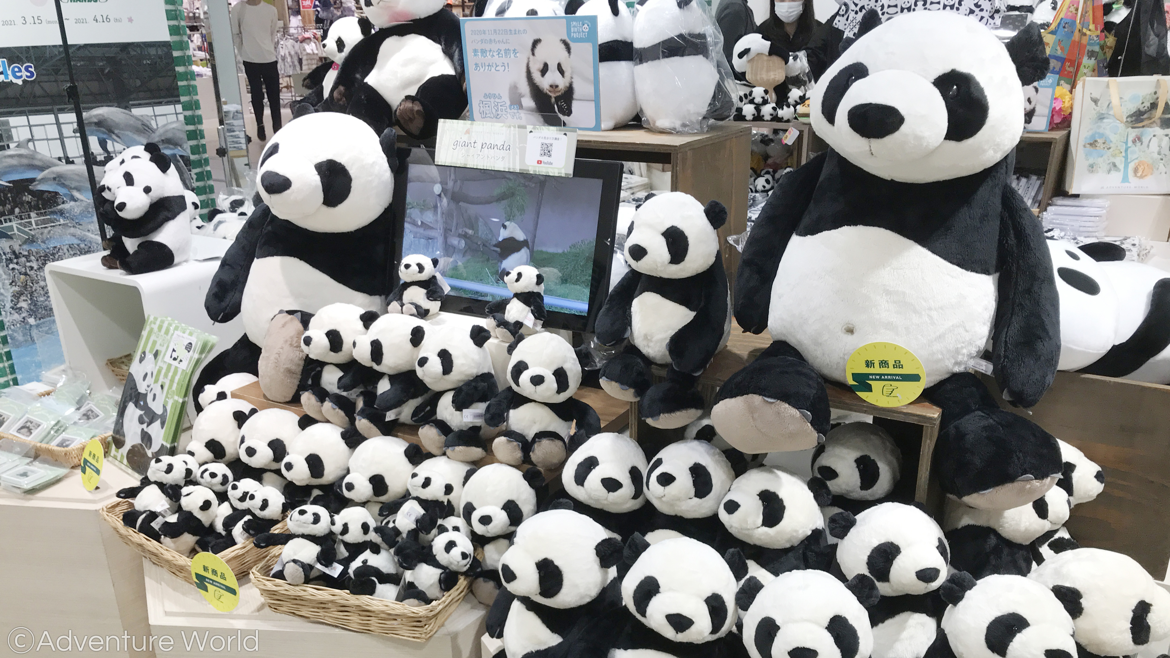 アドベンチャーワールド 公式 春旅気分 アドベンチャーワールドin東急ハンズ梅田店にオリジナルグッズを追加しました パークでも人気のniciパンダが大集合 他にも春のお出かけにぴったりなキャップ帽やリュック ゴルフグッズやお菓子が登場 開催