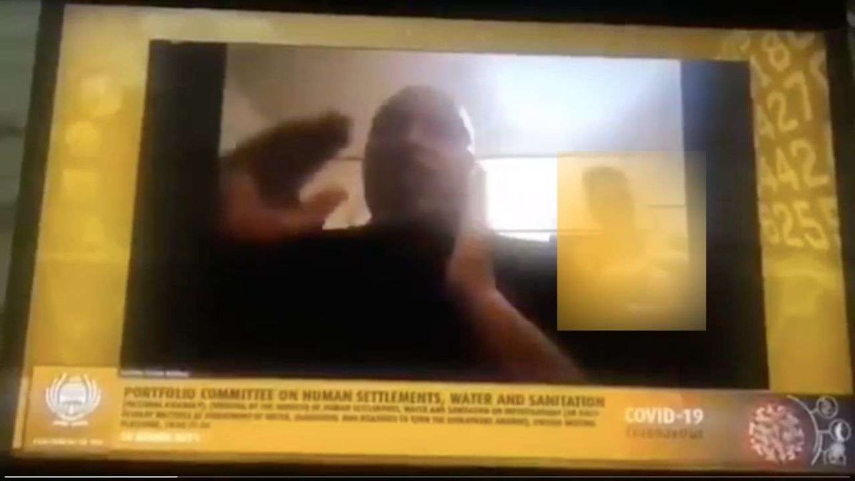 VForViral1's tweet photo. South African Leader Xolile Ndevu's Naked Wife Pops in During Official Zoom Meeting https://t.co/23OtvQYote