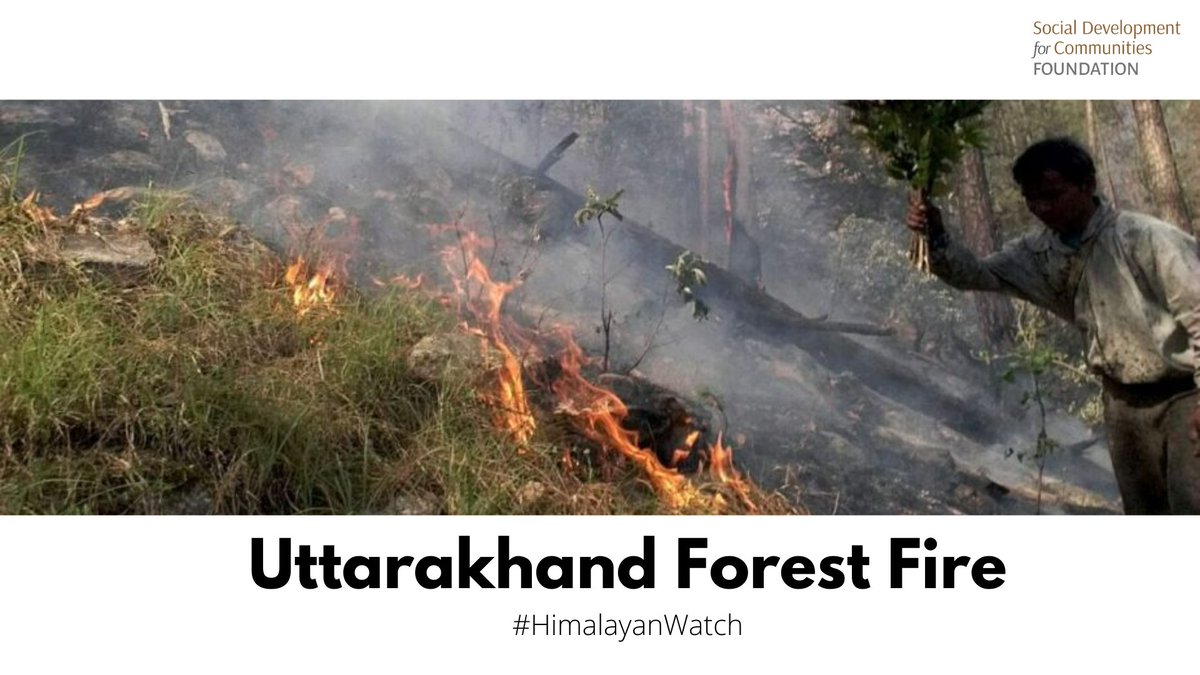 #THREAD update 🧵

Uttarakhand 🏔️ forest fire 🌳🔥 

Overview, current status, actions taken and more!! 👇

#HimalayanWatch 
#UttarakhandForestFire