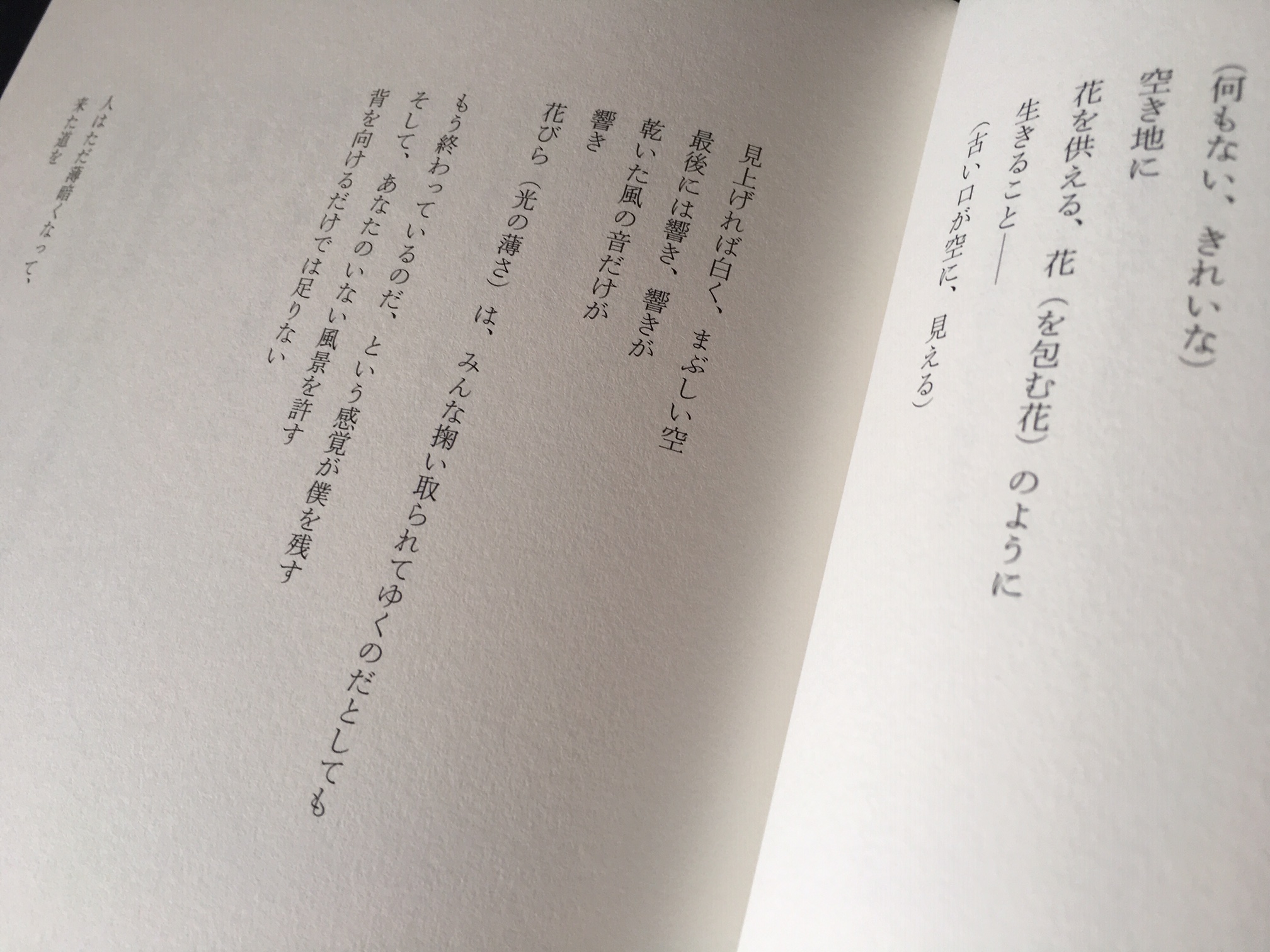 平井倫行   : "詩人の岸田将幸様より新詩集風の