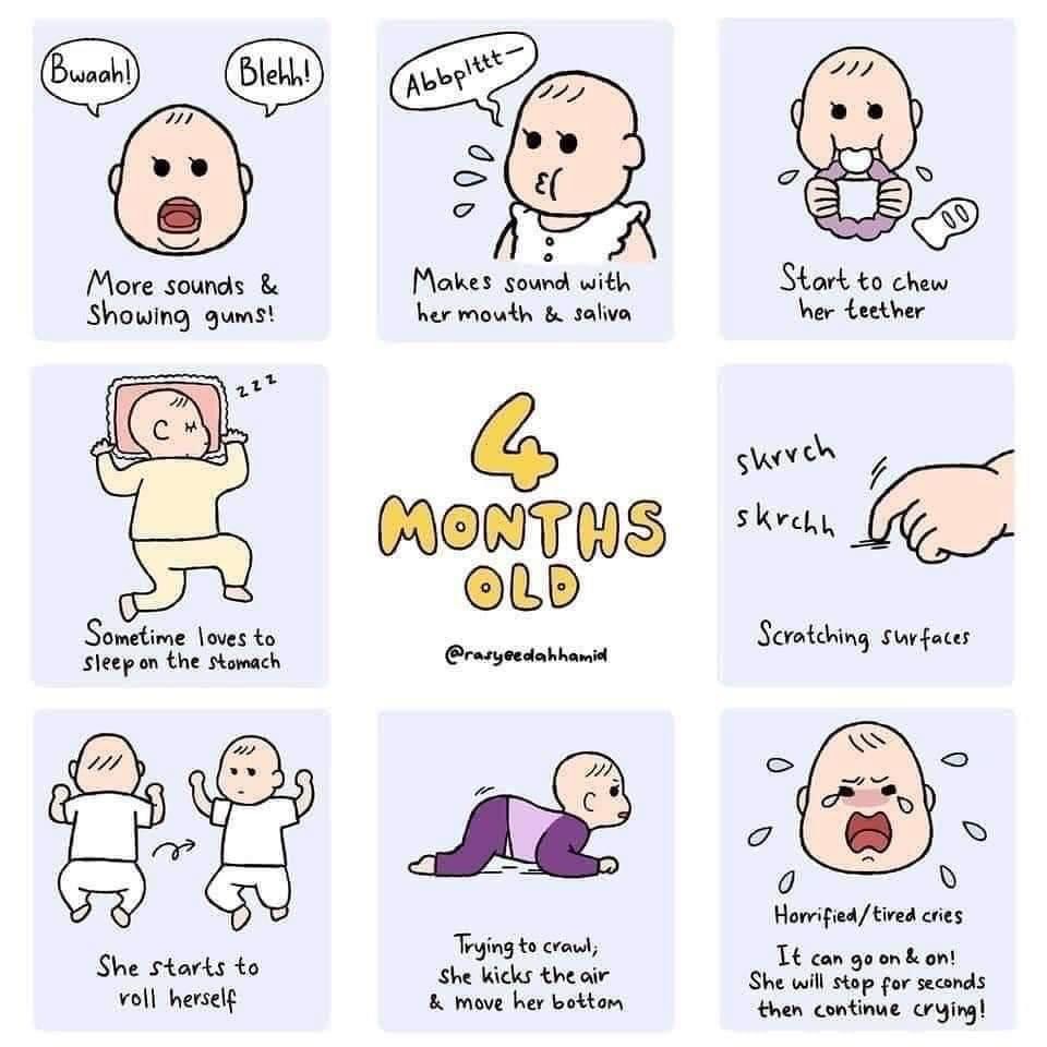 Perkembangan bayi dari sebulan sehingga setahun 👶🏻❤️  Take note tau mommy!

Sumber : rasyeedahhamid 

#SinaranWanita #baby #ibumengandung #perkembanganbayi #ibuayah