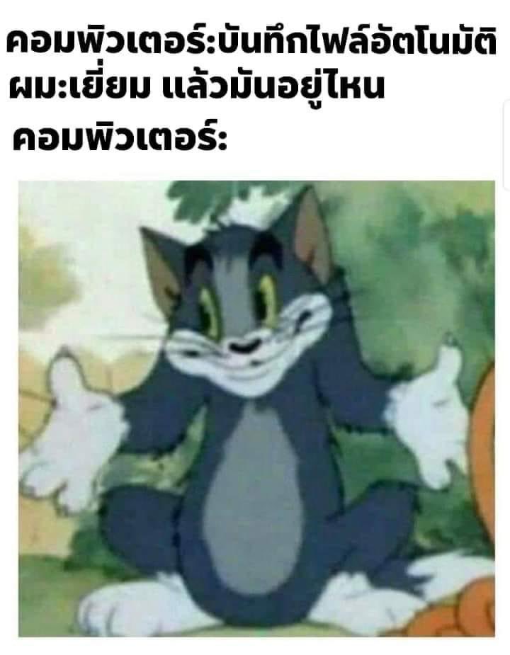꒰ ‎⁺◟ชาฉึ‧˚ ༘ tweet media