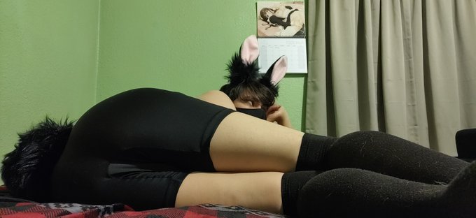 Bunny boyfriend? https://t.co/8ls7lcqIrl
