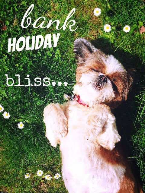 ArberthVet's tweet photo. #bankholidaymonday #spenditwithyourpets #familytime https://t.co/RdEr5hadaL