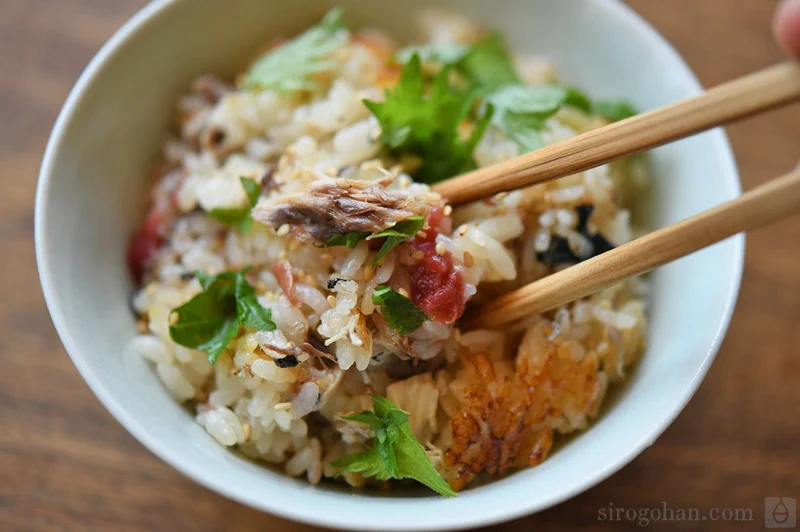 サバの水煮缶で美味しい炊き込みご飯を作る方法！梅干しを入れるとさらに美味しくなる！！