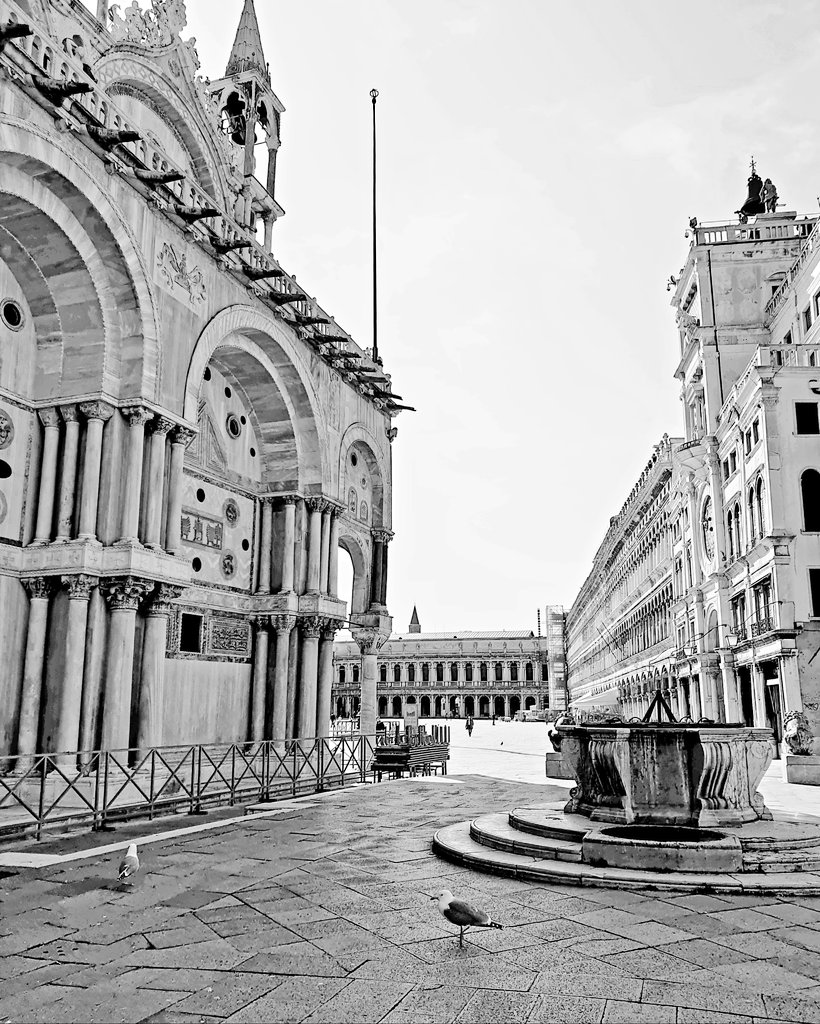 Buongiorno e buon #lunedidellangelo #Venezia #Venice #Venecia #Venise #Venedig #Venessia 📷