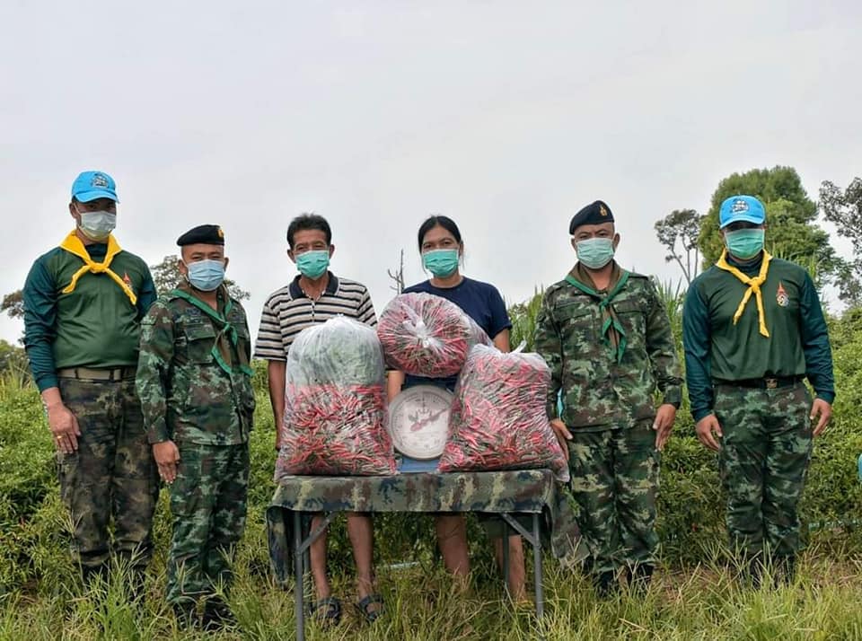 army2pr's tweet photo. กองพันทหารราบที่ 3 กรมทหารราบที่ 8 โดยกองพันทหารราบที่ 12 หน่วยเฉพาะกิจที่ 1 กองกำลังสุรนารี จัดเจ้าหน้าที่สูทกรรม รับซื้อพริกสดแดงจินดาช่วยเหลือเกษตรกร บ้านโนนดู่ หมู่ที่ 4 ตำบลบึงมะลู อำเภอกันทรลักษณ์ จังหวัดศรีสะเกษ
#ทหารพระราชาดูแลประชา https://t.co/HrjHhStBM0