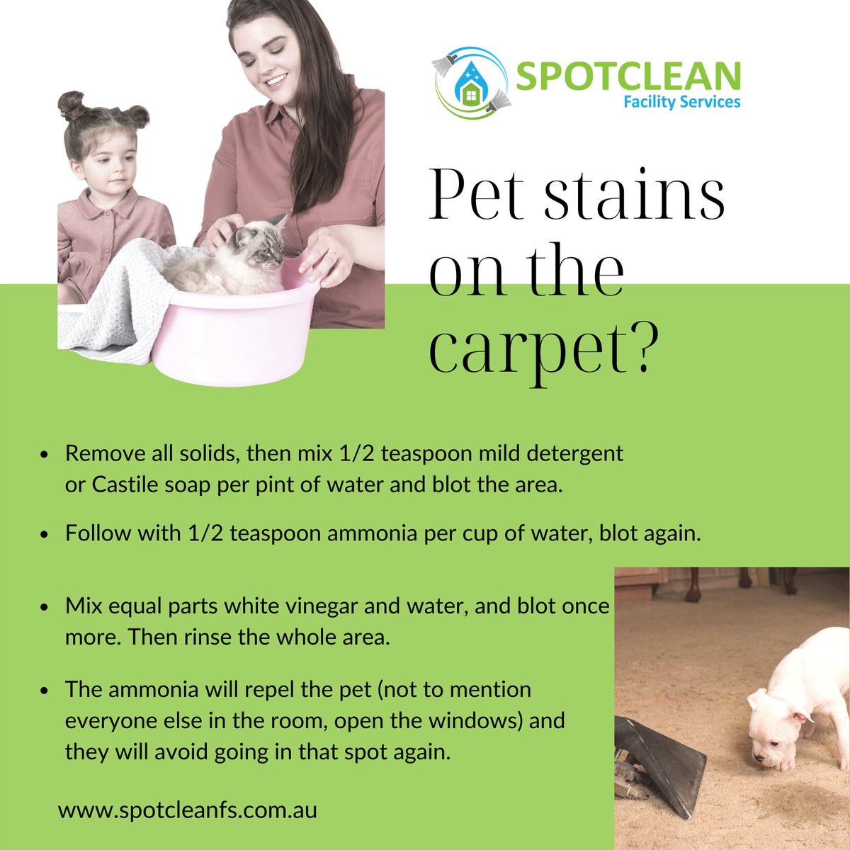 SpotcleanFS's tweet photo. Pet stains on the Carpet? No problem, Spotclean professionals are there to help. Call us today!

#CleaningServices #SpotClean #PetStains #CarpetCleaning https://t.co/9ZEbtoI9Nl