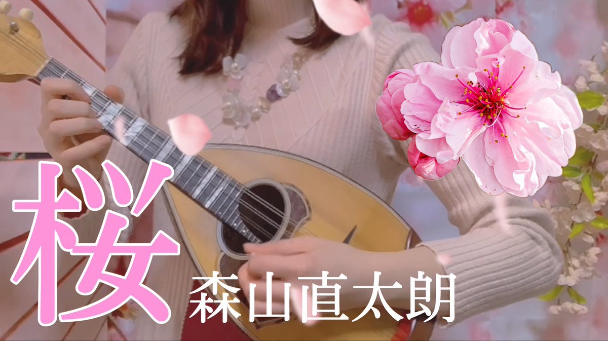 airinmandolin's tweet photo. 動画あげたぞっ！！🌸

https://t.co/FAHQFswAUs https://t.co/RAojDlZjcu