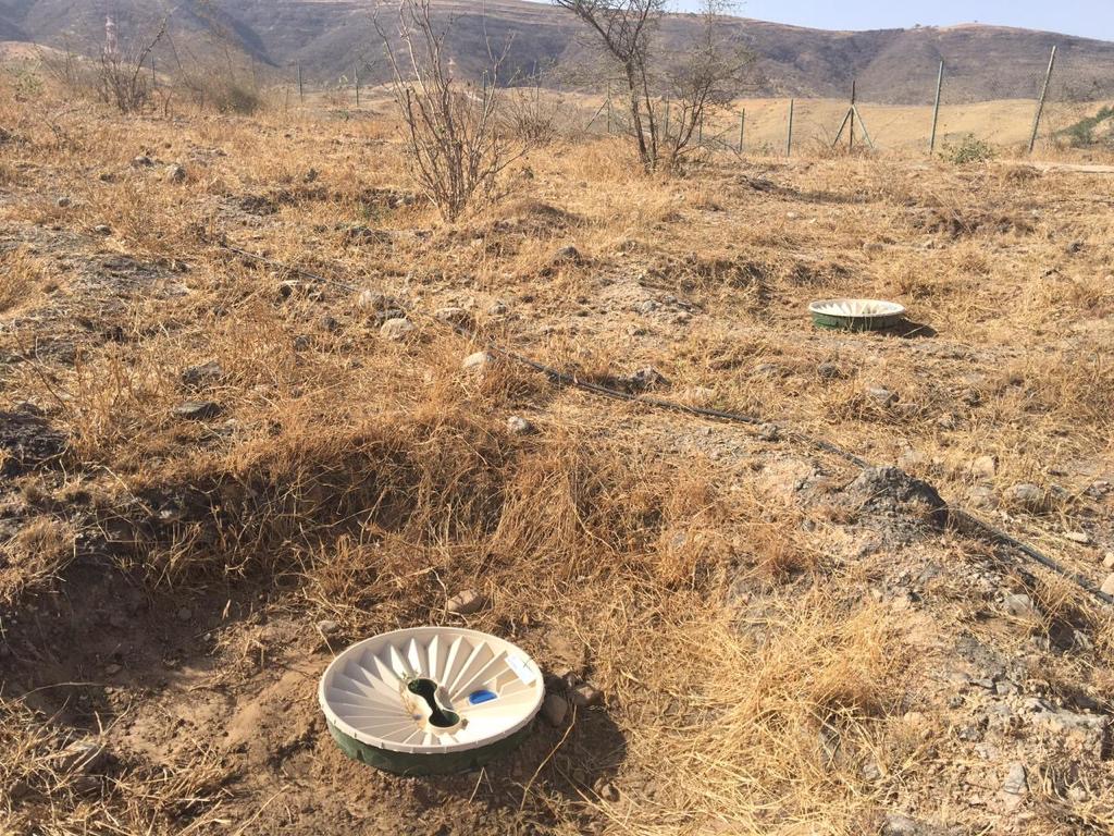 bp_Oman's tweet photo. We continue the #Ghazeer trees planting initiative today in Salalah by planting 600 native trees in partnership with @qualiesoman. The trees will be in the names of our employee who contributed towards the successful startup of #Ghazeer 🌳🌳 https://t.co/oTAFtYVzma