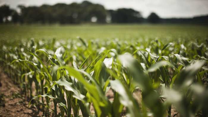 With 10 billion mouths to feed by 2050, global agriculture must transform itself through innovation and digital technology – and help to build a carbon-neutral future for the planet. Farming’s grand challenge: how to feed the world sustainably - bayer.ft.com/farmings-grand… <a href="/Bayer/">Bayer AG</a>