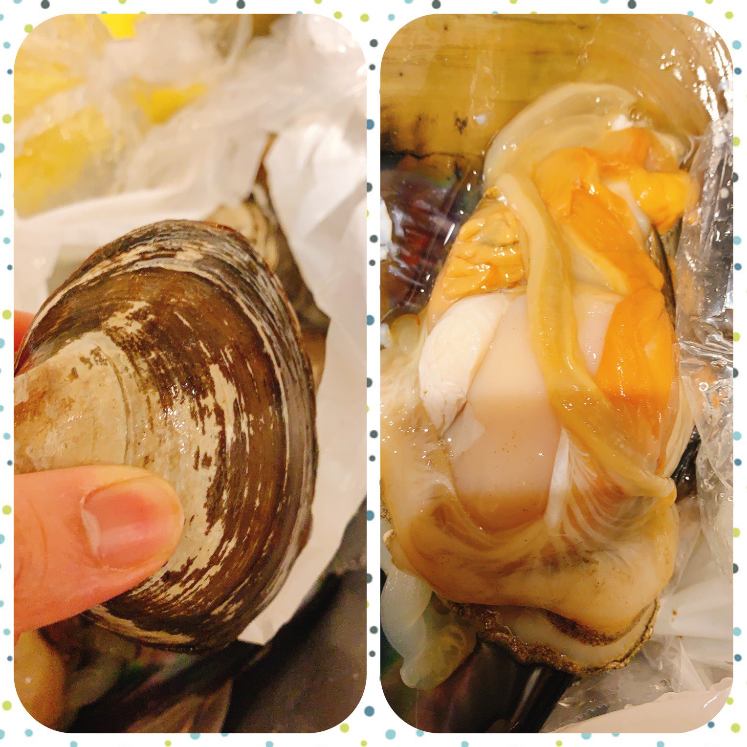 ホッキ貝浜焼き Twitter Search Twitter
