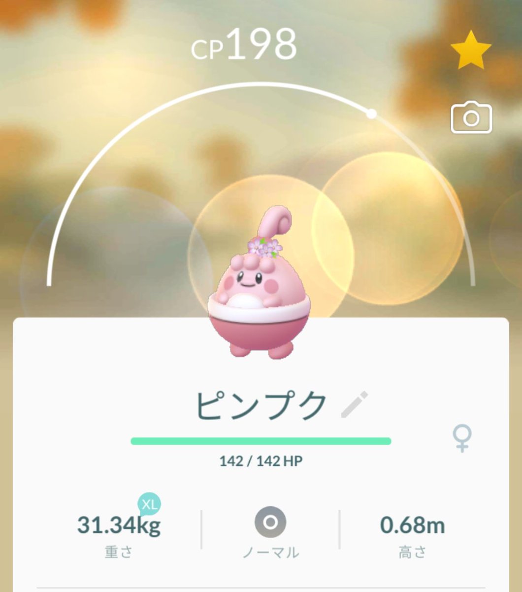 秋桜 Cosmos ポケgoアカ Aki Movie Cx Twitter 秋桜 Cosmos ポケgoアカ Aki Movie Cx Twitter