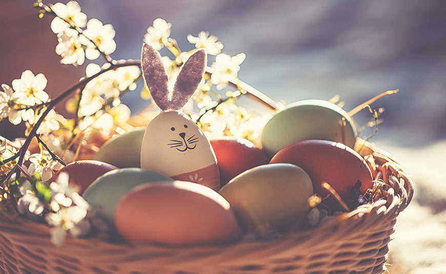 FoederisCom's tweet photo. Happy Easter 🐰🍫🐣 https://t.co/7NYvMCOVGH