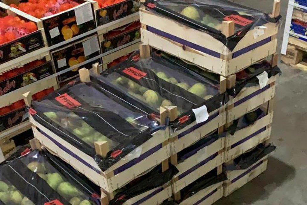 EyMmyizXIAIa8Ii?format=jpg&name=medium