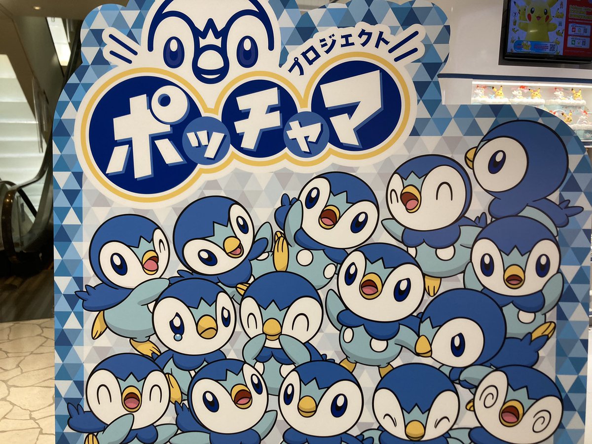 ちゃまこ ポッチャマ かわいい プロジェクトポッチャマ ポケモンセンター