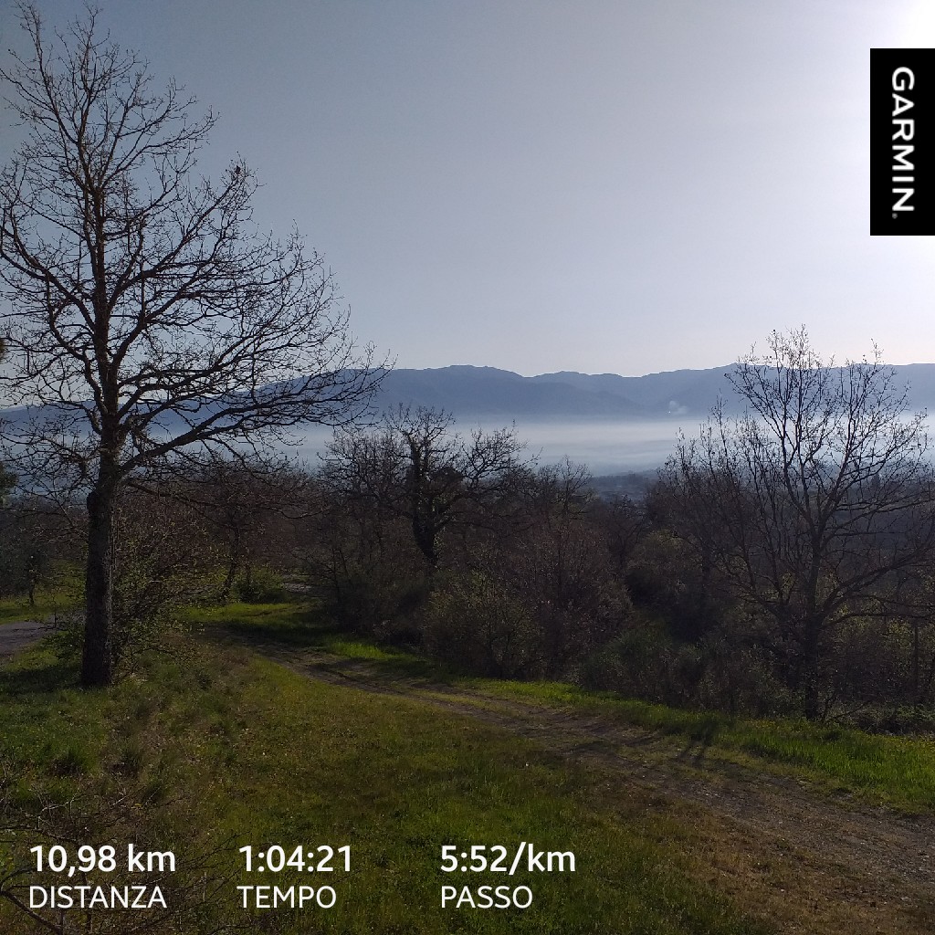 andreamaddii71's tweet photo. #garmin #beatyesterday https://t.co/f2VH8wqNp5