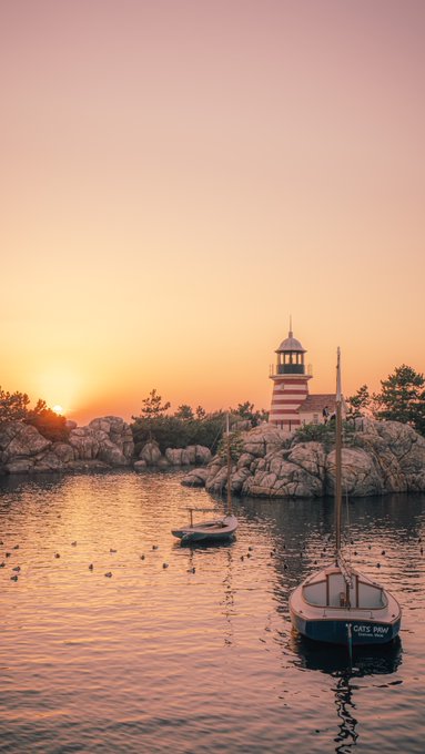 ディズニー入場者数や混雑具合は 2万人のランドやシーの待ち時間や空いてるのか調査 Disnew Info