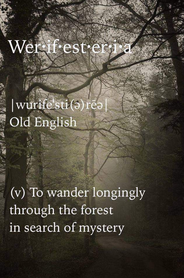 sliceandserve's tweet photo. #Werifesteria https://t.co/IokBI4snw9